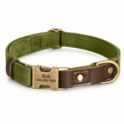 Flausi classy personalized collar - complete leather set incl. leash