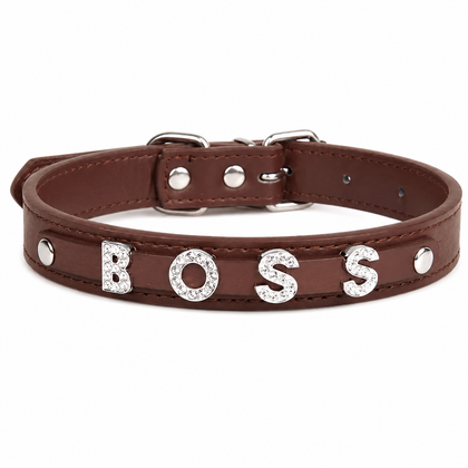 Flausi Elegant Personalized Collar – Sparkling 3D Rhinestone Look
