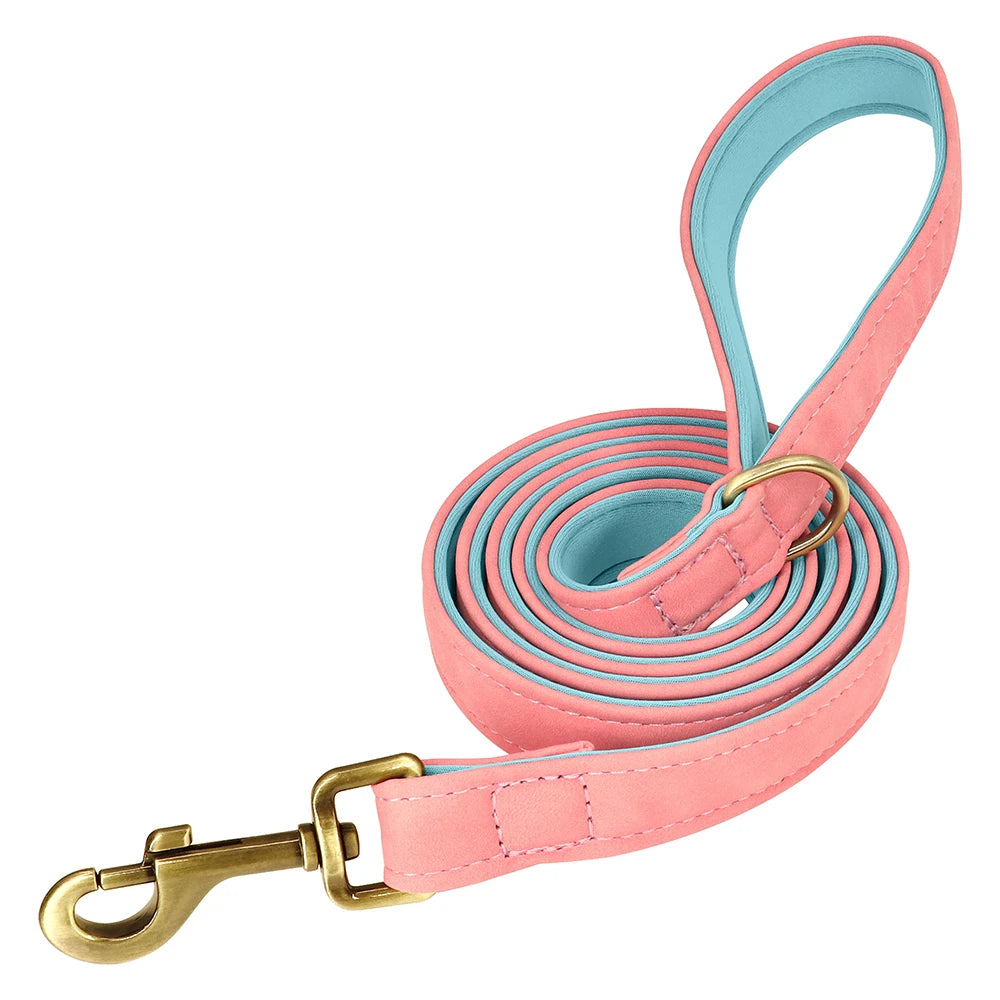 Flausi NamensBand Edles Leder-Set Halsband und Leine