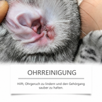 Flausi OhrenKlar pflegender Ohrenreiniger für Hunde und Katzen 100 Ml.
