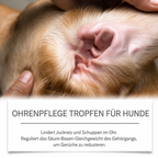 Flausi OhrenSchutz sanfte Ohrenpflege-Tropfen gegen Juckreiz und Geruch für Hunde 60 Ml.