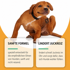 Flausi OhrenSchutz sanfte Ohrenpflege-Tropfen gegen Juckreiz und Geruch für Hunde 60 Ml.
