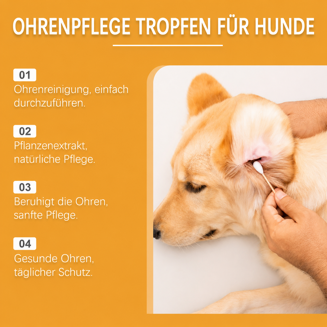 Flausi OhrenSchutz sanfte Ohrenpflege-Tropfen gegen Juckreiz und Geruch für Hunde 60 Ml.