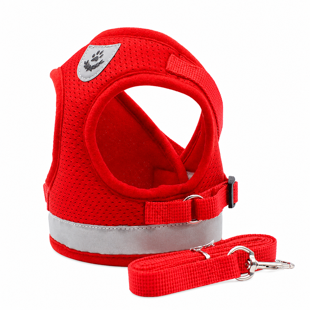 Flausi PassForm Ausbruchsicheres Mesh-Geschirr-Set inkl. Leine