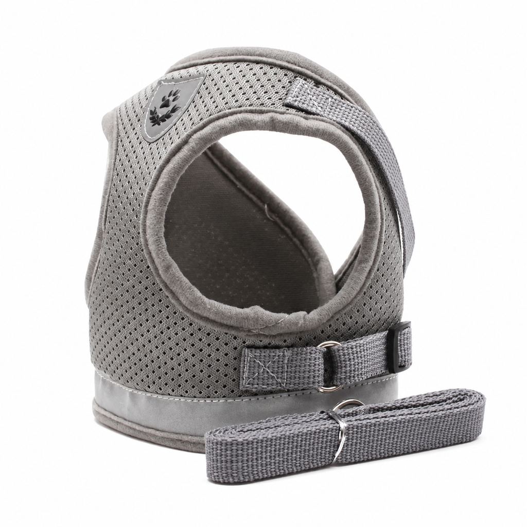 Flausi PassForm Ausbruchsicheres Mesh-Geschirr-Set inkl. Leine