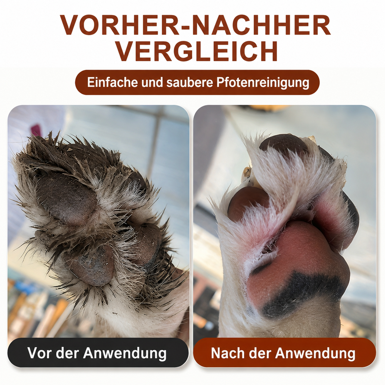 Flausi PfotenBlitz sanfter Pfotenreiniger für Hunde und Katzen