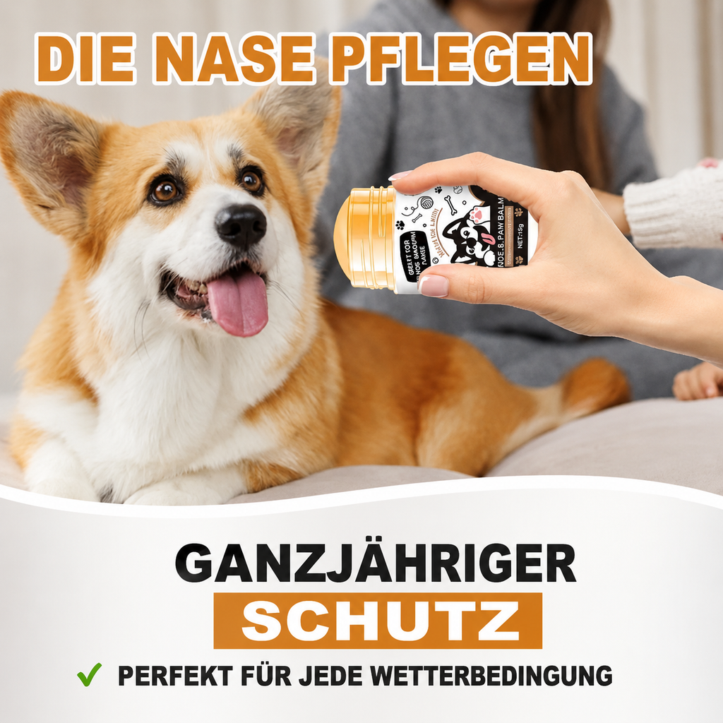 Flausi PfotenSeide pflegender Nasen- und Pfotenbalsam Stick für Hunde und Katzen 45g
