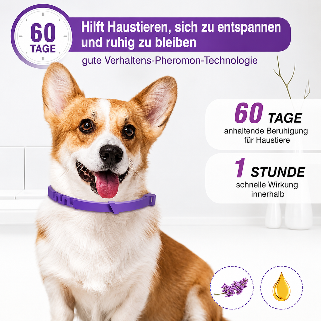 Flausi RuheBand sanftes Anti-Stress Halsband für Hunde und Katzen