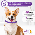 Flausi RuheBand sanftes Anti-Stress Halsband für Hunde und Katzen