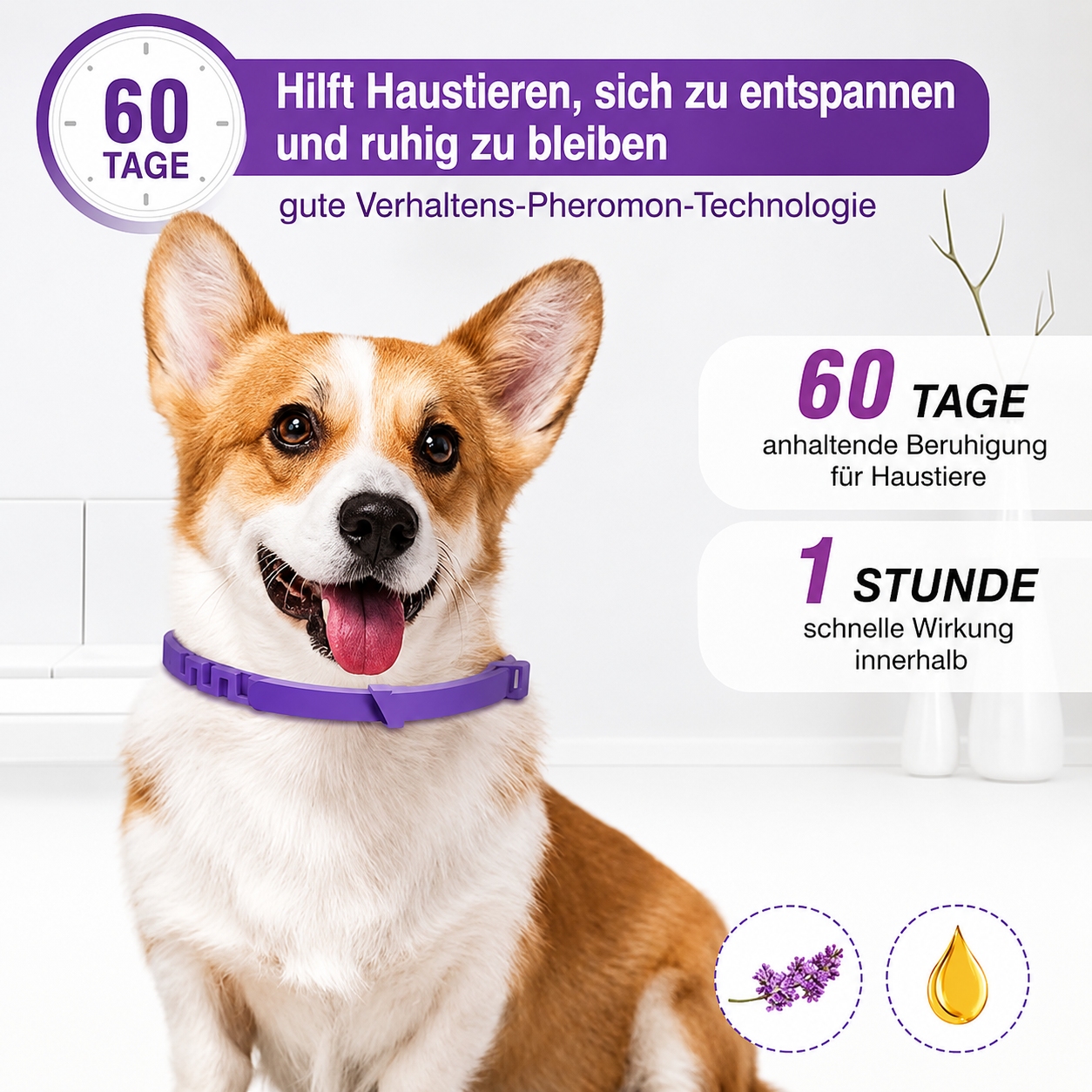 Flausi RuheBand sanftes Anti-Stress Halsband für Hunde und Katzen