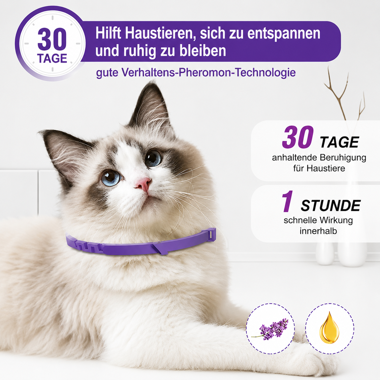 Flausi RuheBand sanftes Anti-Stress Halsband für Hunde und Katzen