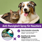 Flausi RuheSpray Anti-Stress natürliches Beruhigungsspray für Hunde und Katzen 50 Ml.