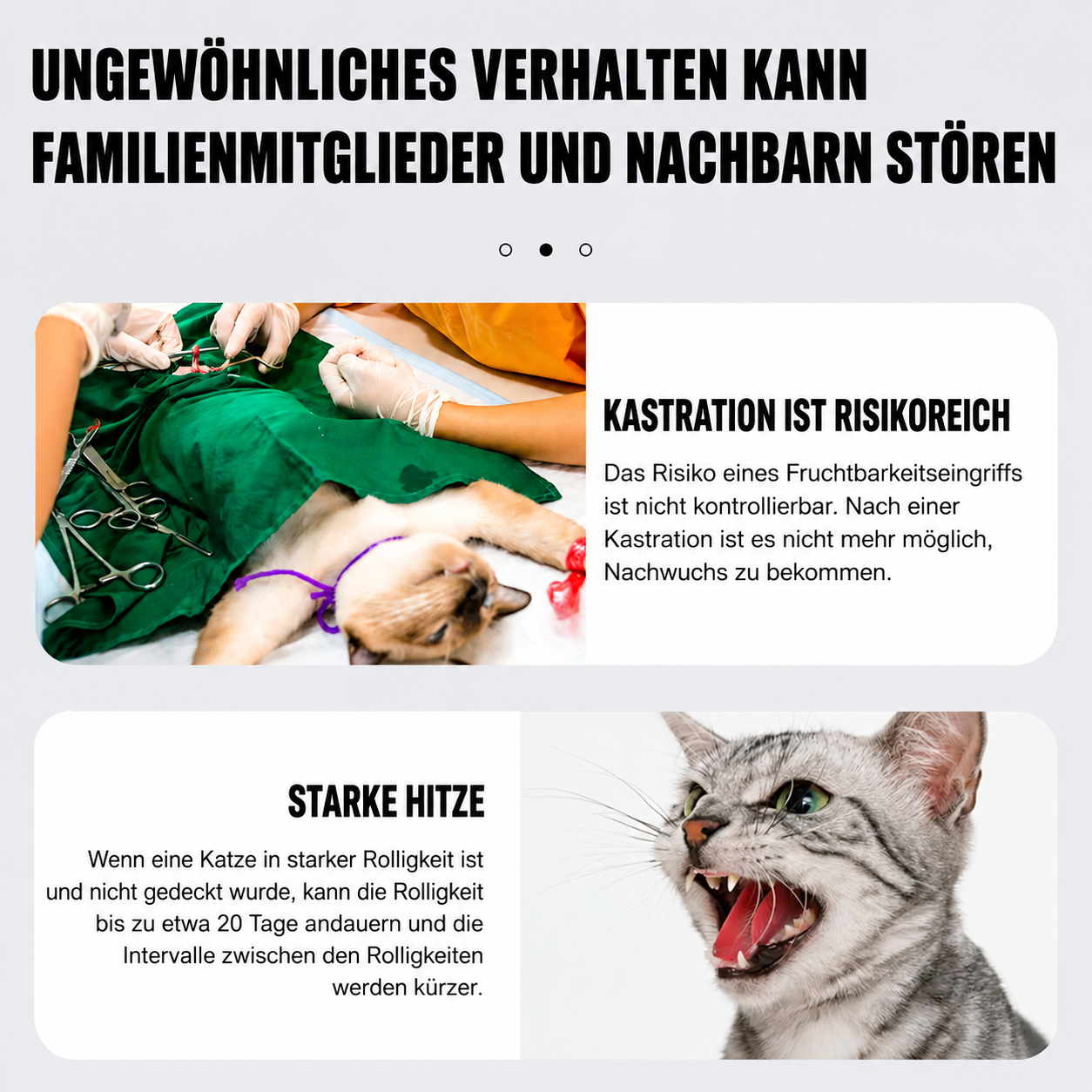 Flausi RuheSpray Anti-Stress natürliches Beruhigungsspray für Hunde und Katzen 50 Ml.