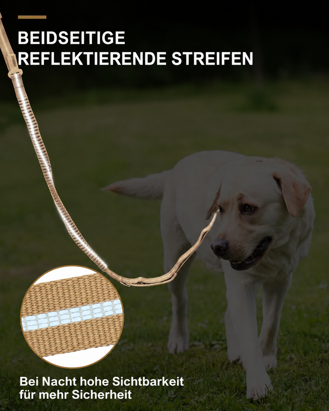 Flausi SanftZug™ 2-in-1 robuste Hundeleine mit Ruckdämpfer & Auto-Sicherheitsgurt