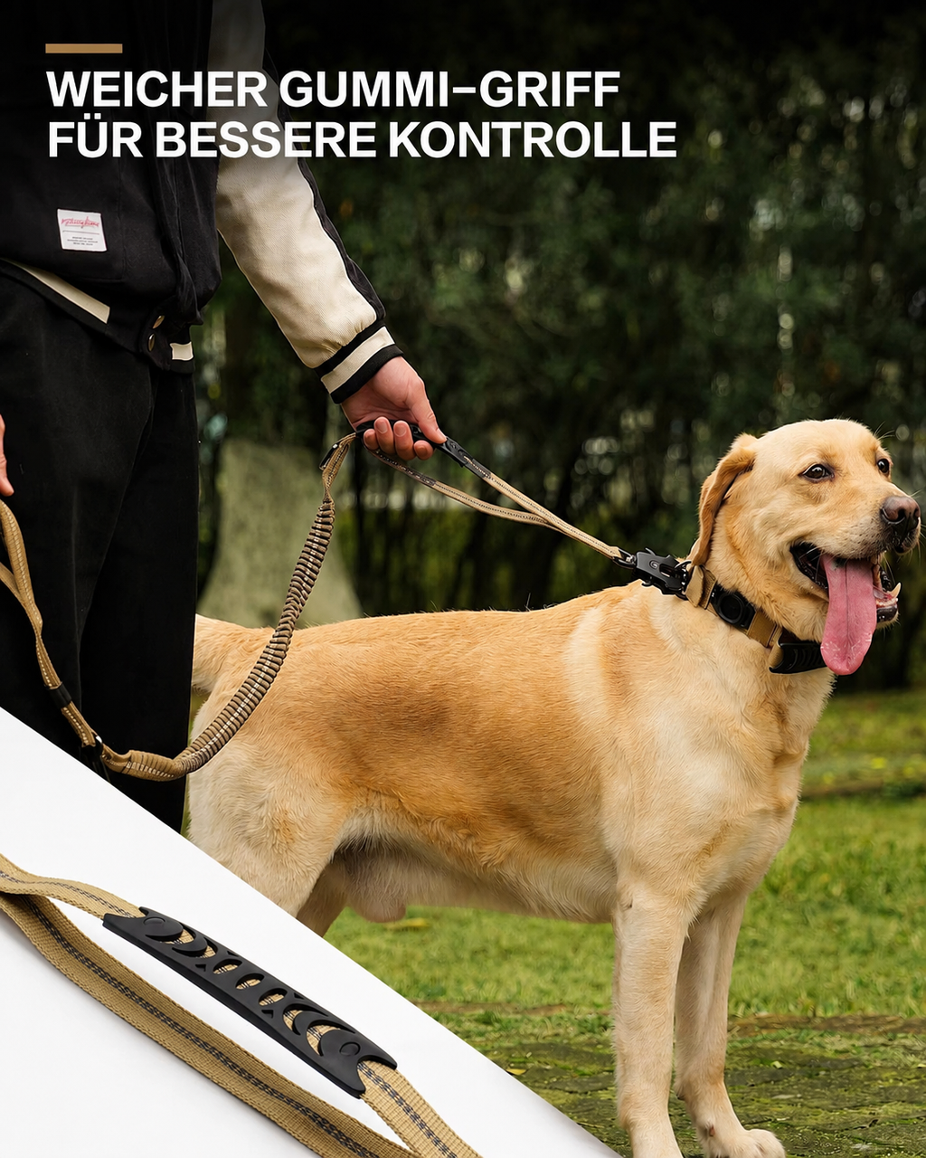 Flausi SanftZug™ 2-in-1 robuste Hundeleine mit Ruckdämpfer & Auto-Sicherheitsgurt