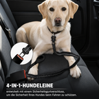 Flausi SanftZug™ 2-in-1 robuste Hundeleine mit Ruckdämpfer & Auto-Sicherheitsgurt