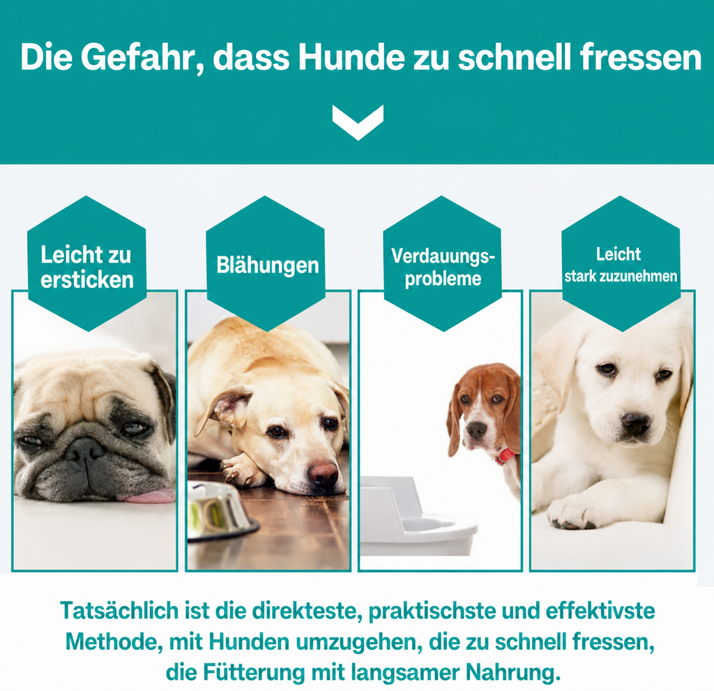 Flausi SchleckSpaß beruhigende Schleckmatte mit 4 Texturzonen für Hunde und Katzen