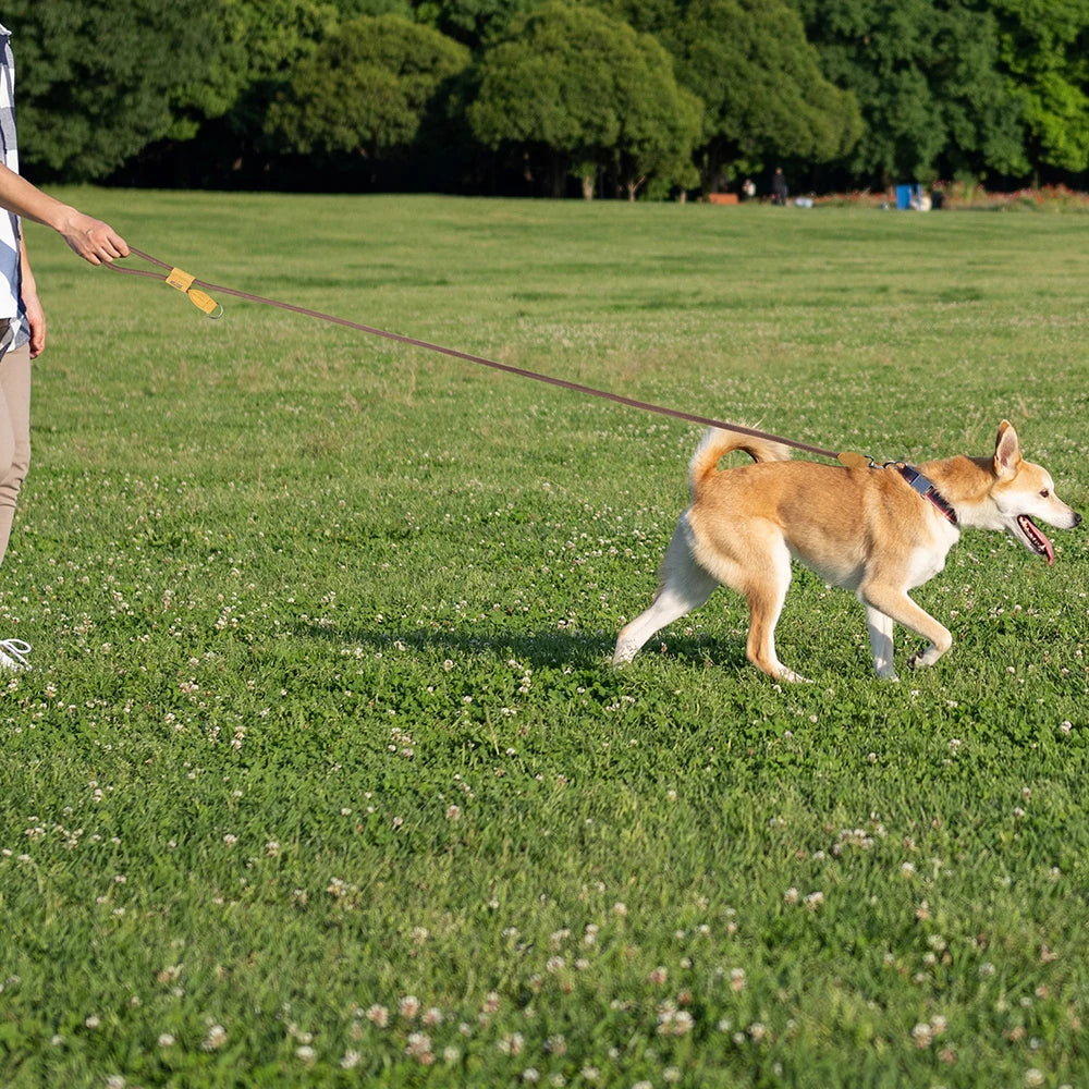 Flausi SeilStark reißfeste Rundleine mit gepolstertem Griff für große Hunde 1,8 m