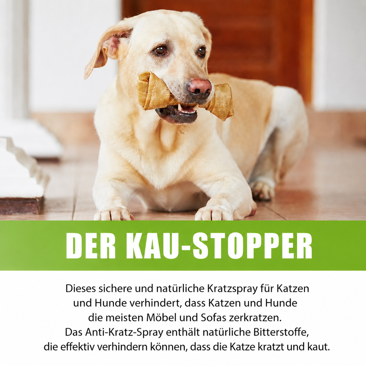 Flausi StoppSpray naturbasiertes Anti-Markier Spray für Hunde und Katzen