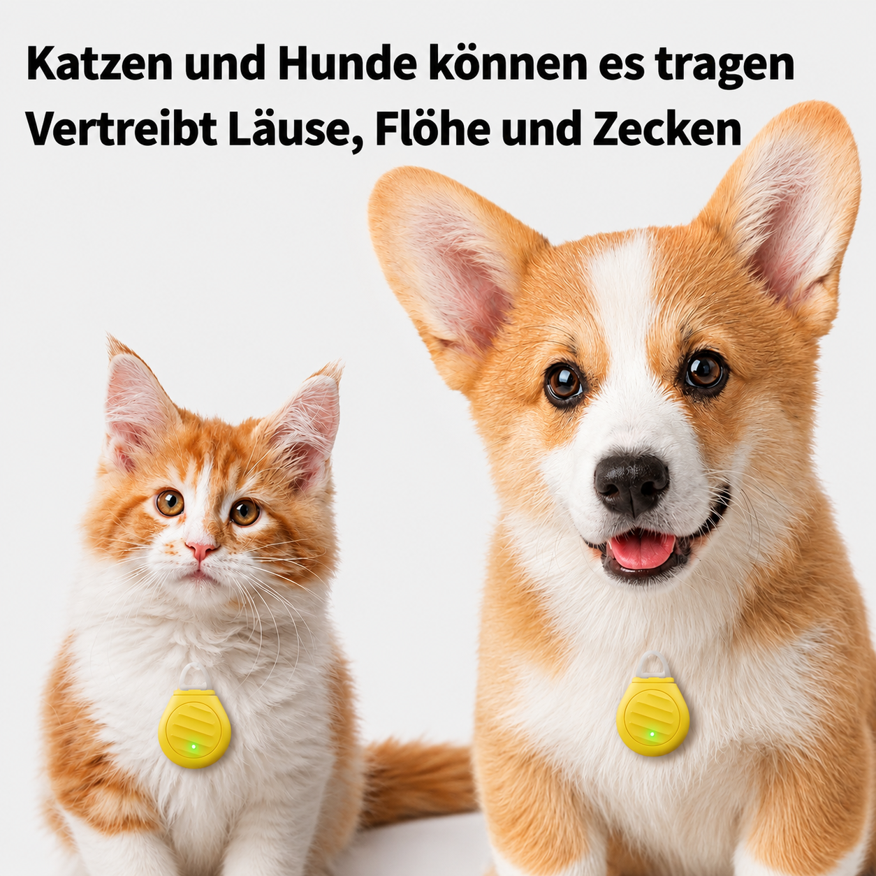 Flausi ZeckenFrei sanfter Ultraschall Floh- und Zeckenanhänger für Hunde und Katzen